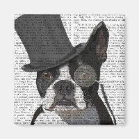 Boston Terrier, Formal Hound and Hat
