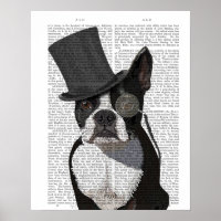 Boston Terrier, Formal Hound and Hat