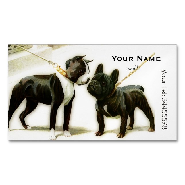 BOSTON TERRIER&FRENCH BULLDOG 	Magnetic BUSINESS CARD (Front)