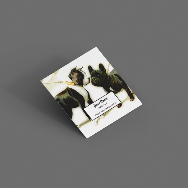 BOSTON TERRIER&FRENCH BULLDOG SQUARE BUSINESS CARD (Creator Uploaded)