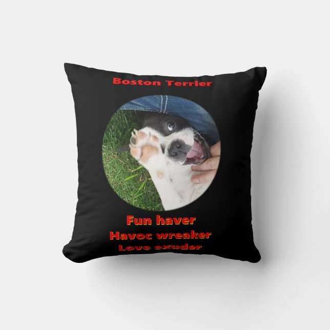 Boston Terrier - Fun Haver Cushion (Front)