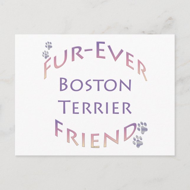 Boston Terrier Furever Postcard (Front)