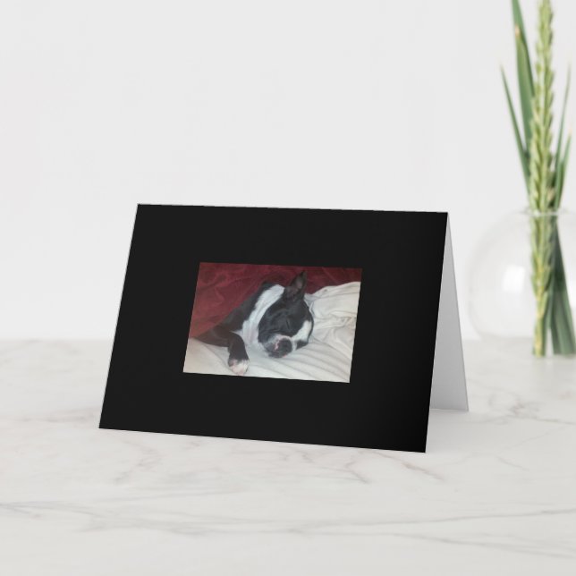 Boston Terrier Get Well Card (Front)