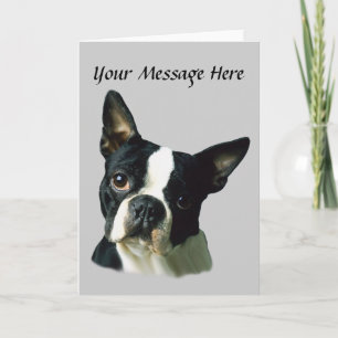 Boston Terrier Greeting Card