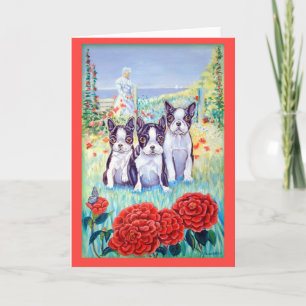 Boston Terrier Greeting Cards