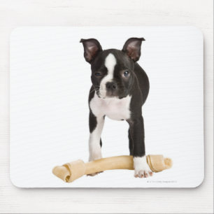 Boston terrier guarding twisty bone mouse mat