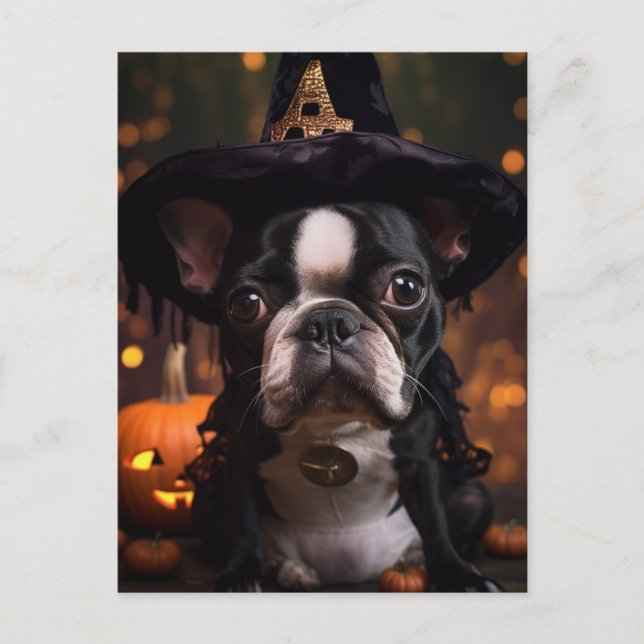 Boston Terrier Halloween Postcard (Front)