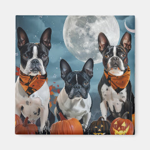boston terrier Halloween Spooky Magnet