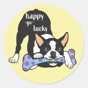 Boston Terrier. Happy go lucky Classic Round Sticker