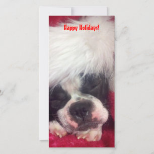 Boston Terrier Happy Holidays Photo Card