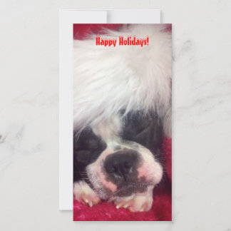 Boston Terrier Happy Holidays Photo Card