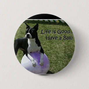 Boston Terrier:  Have a Ball! 6 Cm Round Badge