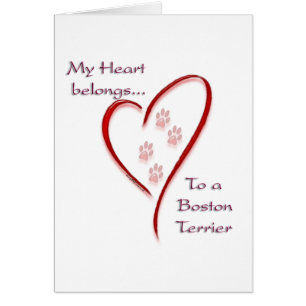Boston Terrier Heart Belongs
