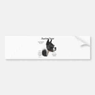 Boston Terrier History Design Bumper Sticker