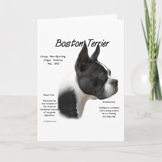 Boston Terrier History Design Holiday Card (Front)