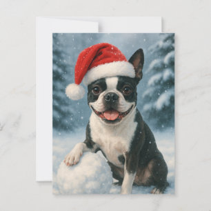 Boston Terrier Holiday Card