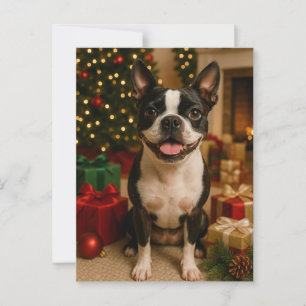 Boston Terrier Holiday Card