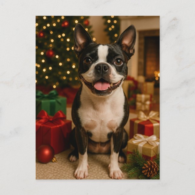 Boston Terrier Holiday Card (Front)