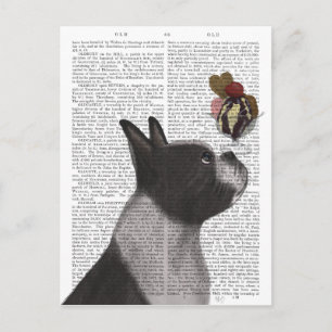 Boston Terrier Ice Cream Postcard
