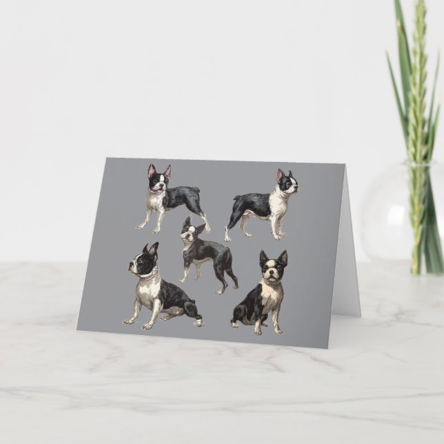 Boston Terrier Illustration Card (Front)