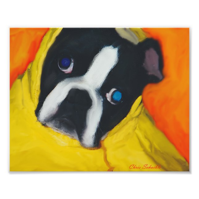 Boston Terrier in a yellow rain coat Photo Print (Front)
