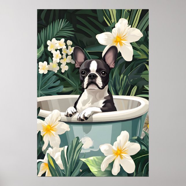 Boston Terrier In Bathtub Poster, Funny Dog Poster (Front)