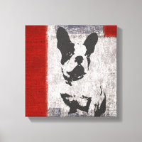 Boston Terrier in Black and White With Red Border