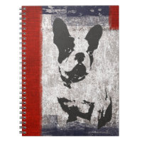 Boston Terrier in Black and White With Red Border