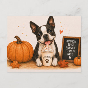 Boston Terrier Inviting Pumpkin Spice Puppaccino Postcard