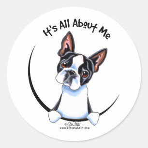 Boston Terrier Its All About Me Classic Round Sticker