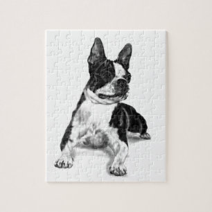 Boston Terrier Jigsaw Puzzle