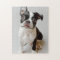 Boston Terrier