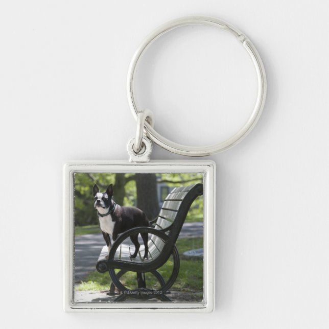 Boston Terrier Key Ring (Front)