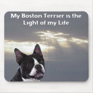 Boston Terrier: Light of my Life Mouse Mat