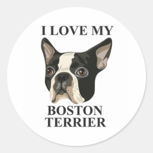 Boston Terrier Love Classic Round Sticker