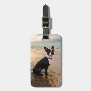 Boston Terrier luggage tag
