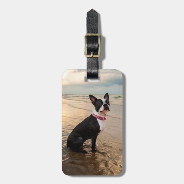 Boston Terrier luggage tag (Front Vertical)