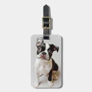 Boston Terrier Luggage Tag