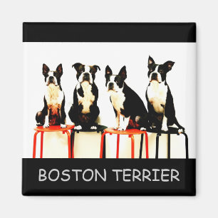 BOSTON TERRIER MAGNET