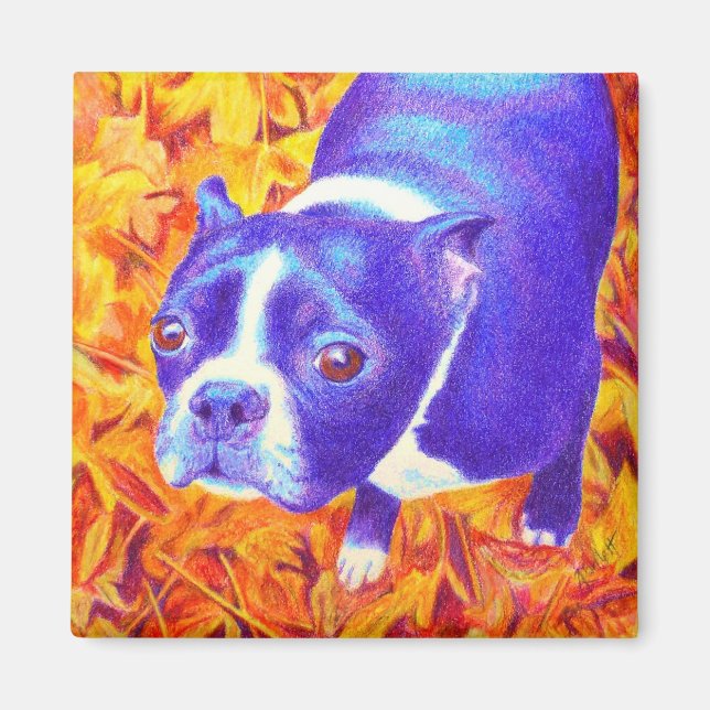 Boston Terrier Magnet - "Daisy (Front)