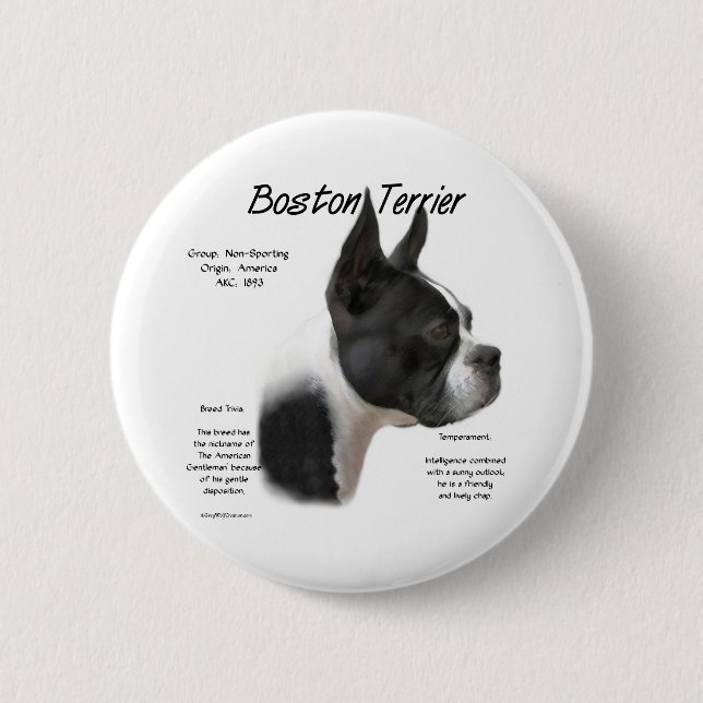 Boston Terrier Meet the Breed - Button (Front)