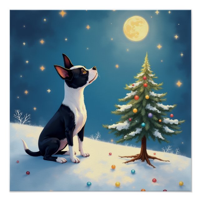 Boston Terrier Midnight Star-Gazing Christmas Poster (Front)