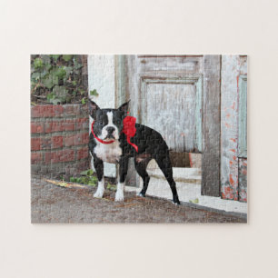 Boston Terrier - Miles Jigsaw Puzzle