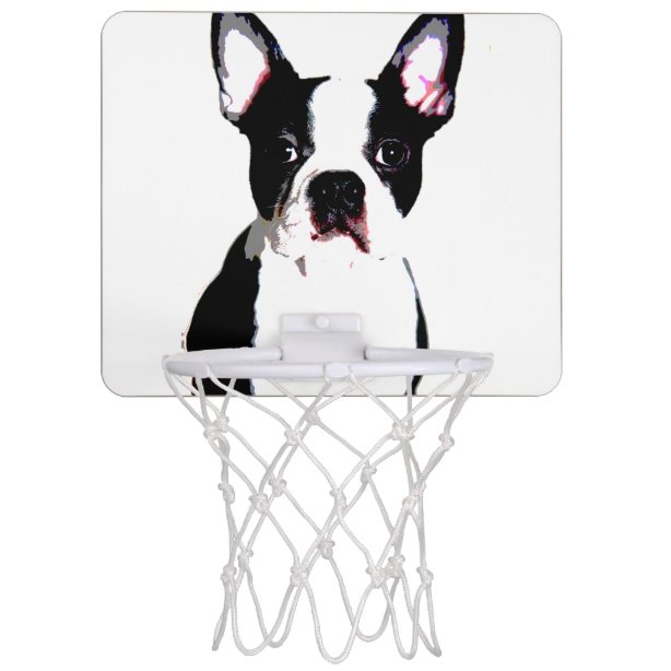 In Dog Mini Basketball Hoops Zazzle.co.uk