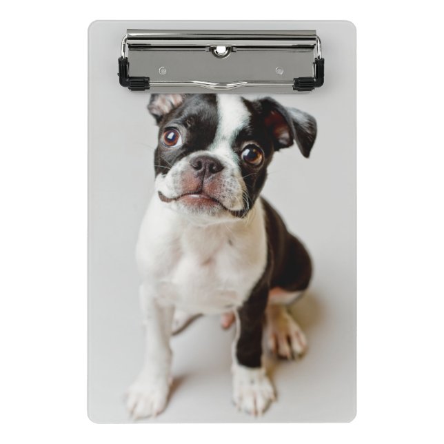 Boston Terrier Mini Clipboard (Front)