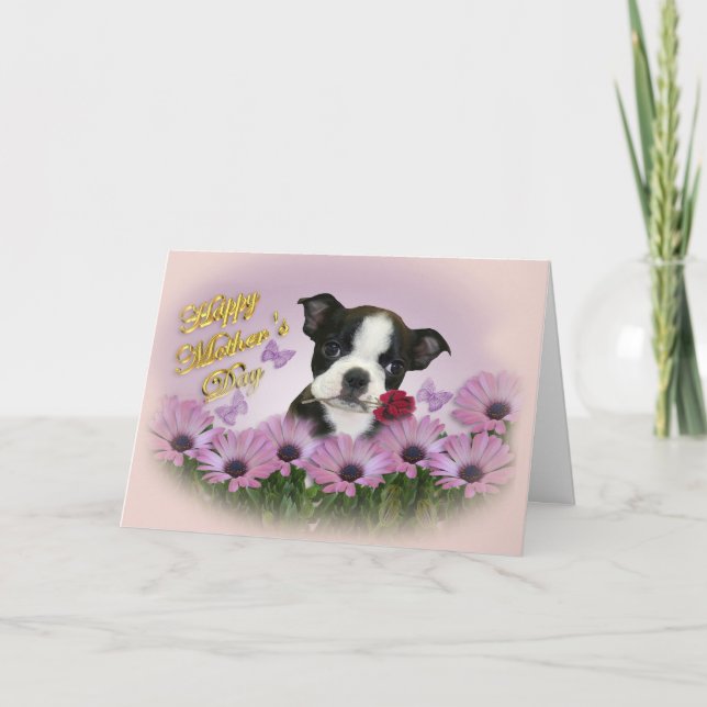Boston Terrier Mother's Day Card (Front)