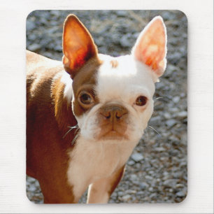 Boston Terrier Mouse Mat