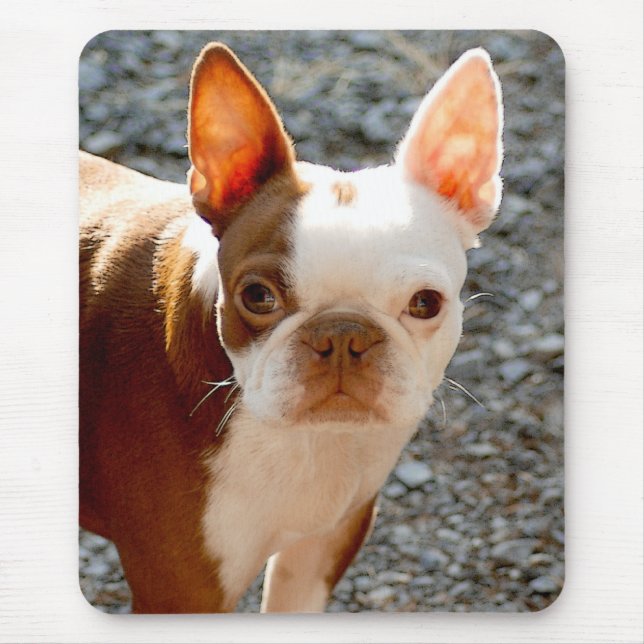 Boston Terrier Mouse Mat (Front)