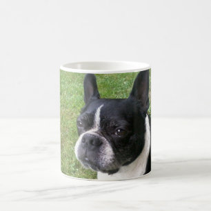 boston terrier mug
