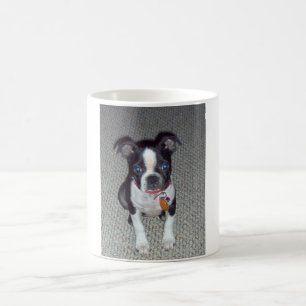 Boston Terrier Mug